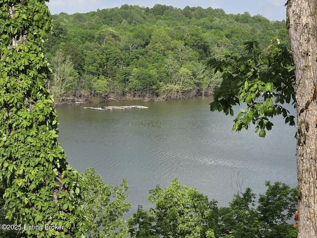 260 Patriots Path Ln, Falls Of Rough, KY 40119 - water view featuring a heavily wooded area