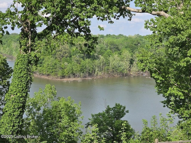 260 Patriots Path Ln, Falls Of Rough, KY 40119 - water view with a heavily wooded area
