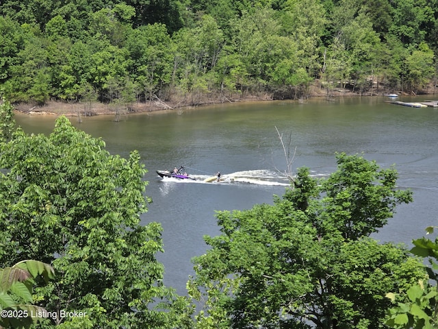 260 Patriots Path Ln, Falls Of Rough, KY 40119 - water view featuring a heavily wooded area