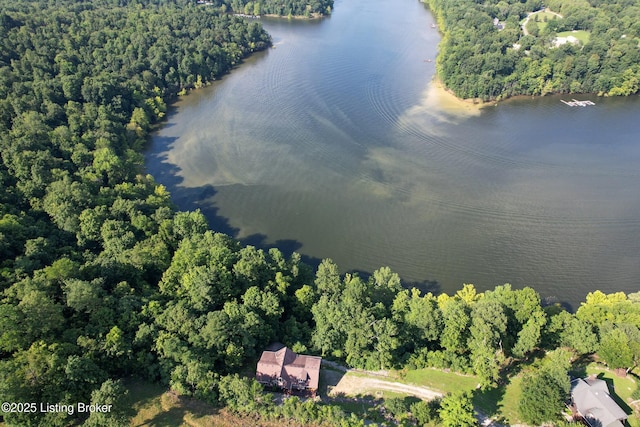 260 Patriots Path Ln, Falls Of Rough, KY 40119 - aerial view of property and surrounding area featuring a large body of water