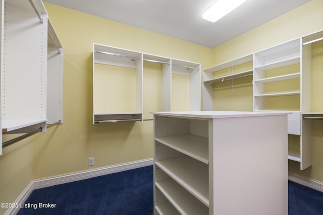 1317 Isleworth Dr, Louisville, KY 40245 - photo 26