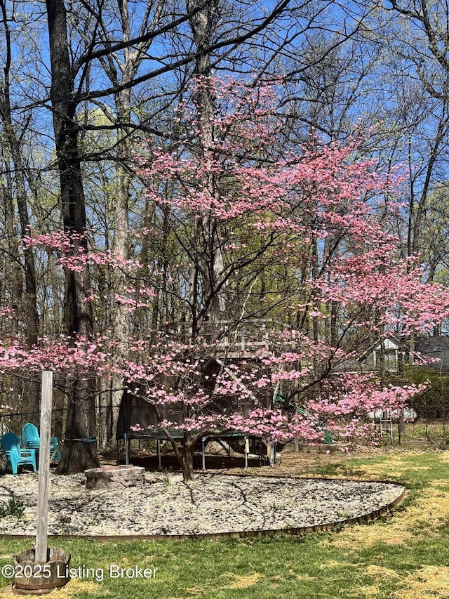 3140 Yorkshire Dr, Bardstown, KY 40004 - view of yard featuring a trampoline