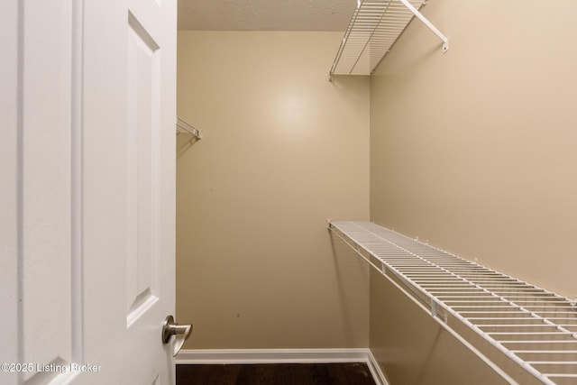 4316 Arwine Ct, Louisville, KY 40245 - walk in closet with dark wood-style floors