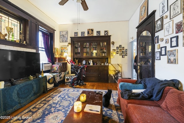 living room featuring ceiling fan and wood finished floors