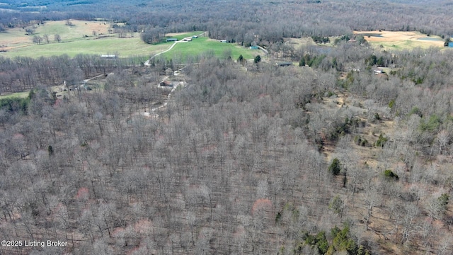 4024 Salt River Rd, Rineyville, KY 40162 - photo 41