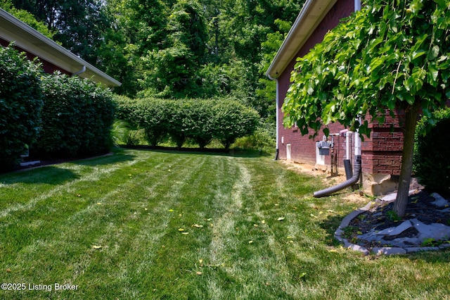 7603 Cottage Cove Way, Louisville, KY 40214 - view of green lawn
