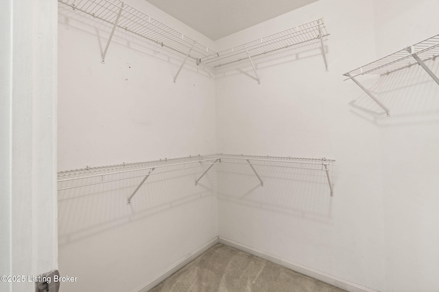 1501 Eagle Nest Way, Lyndon, KY 40222 - spacious closet featuring light colored carpet