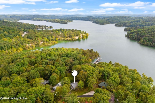 drone / aerial view with a forest view and a water view