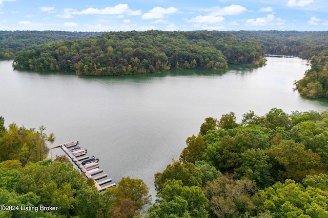 drone / aerial view featuring a water view and a wooded view