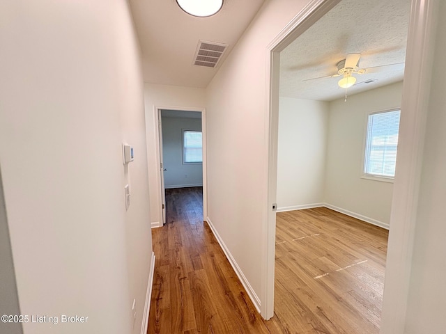 3833 Jupiter Rd, Louisville, KY 40218 - hallway with wood finished floors and baseboards