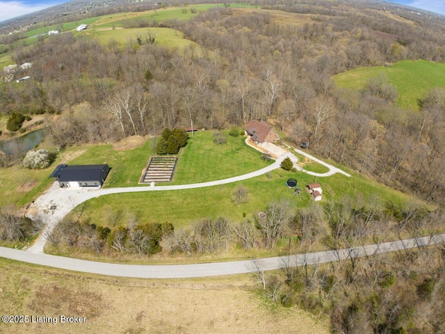 aerial view