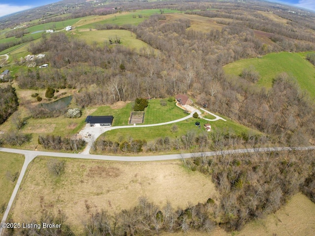 drone / aerial view