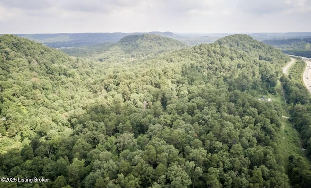 view of mountain feature with a view of trees