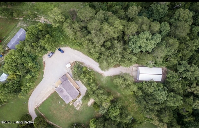 aerial view