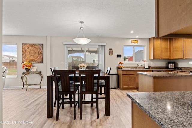 115 Shadow Rock Ct, Shepherdsville, KY 40165 - dining space featuring light wood-style flooring, recessed lighting, a healthy amount of sunlight, and baseboards
