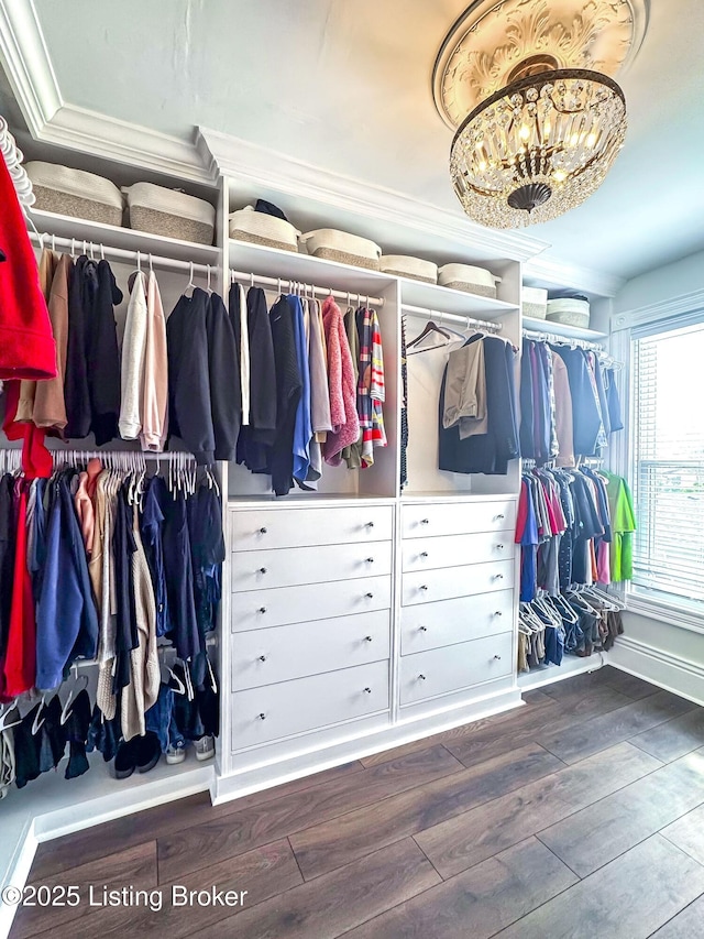 4742 Southern Pkwy, Louisville, KY 40214 - spacious closet featuring wood finished floors and a chandelier
