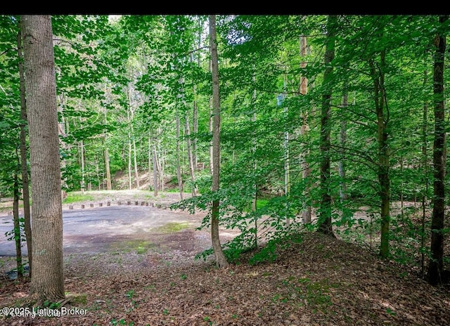 510 Green Valley Dr, Lebanon Junction, KY 40150 - photo 16