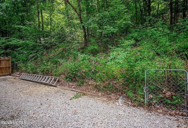 510 Green Valley Dr, Lebanon Junction, KY 40150 - photo 19