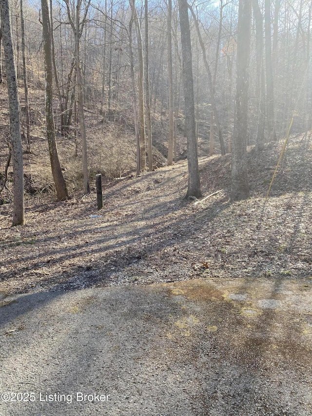 510 Green Valley Dr, Lebanon Junction, KY 40150 - photo 20