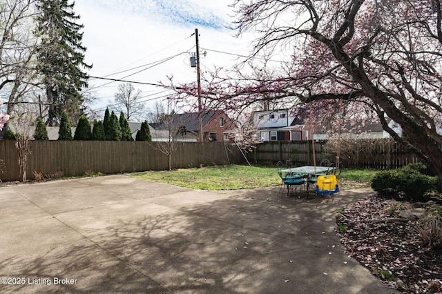view of yard with a patio and a fenced backyard