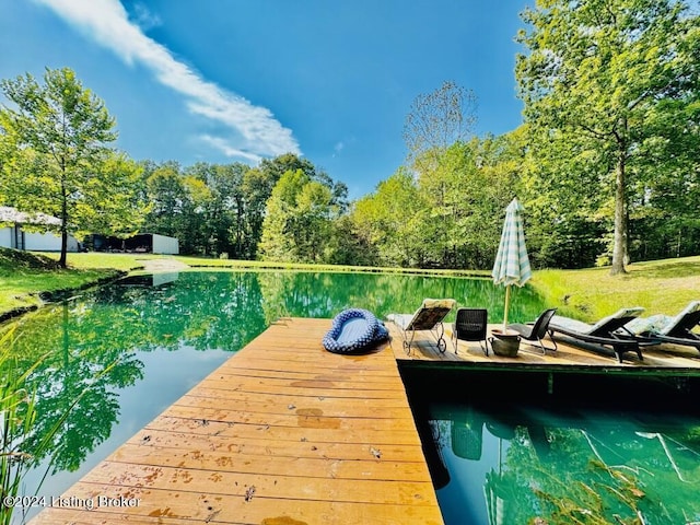 view of dock