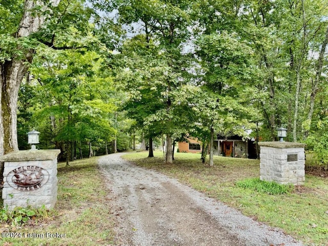 view of street with driveway