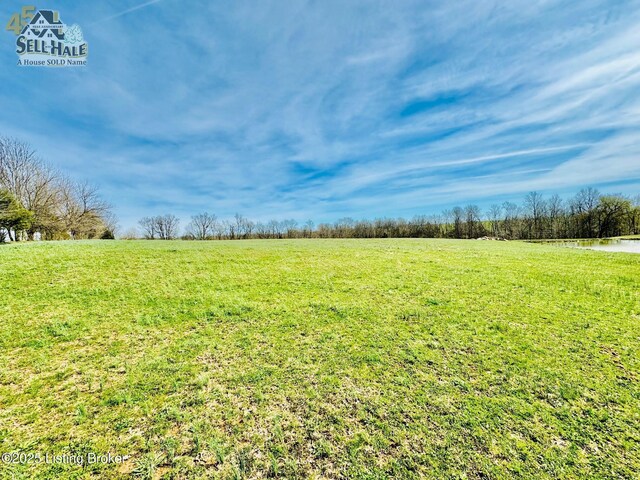 1000 Claybrooke Ln, Springfield, KY 40069 - photo 3