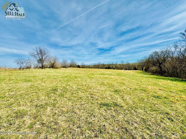 1000 Claybrooke Ln, Springfield, KY 40069 - photo 5
