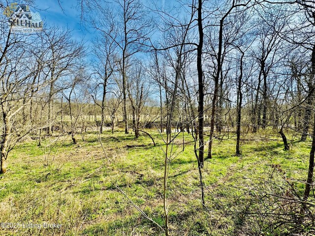 1000 Claybrooke Ln, Springfield, KY 40069 - photo 6