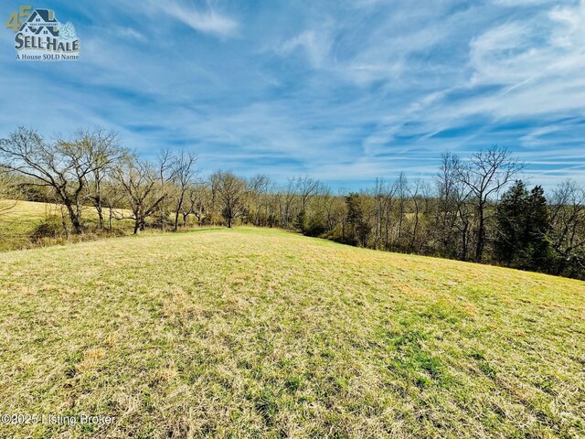 1000 Claybrooke Ln, Springfield, KY 40069 - photo 12