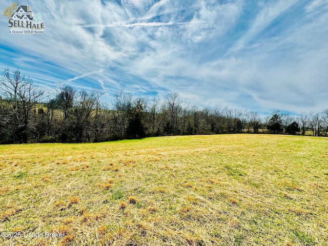 1000 Claybrooke Ln, Springfield, KY 40069 - photo 13