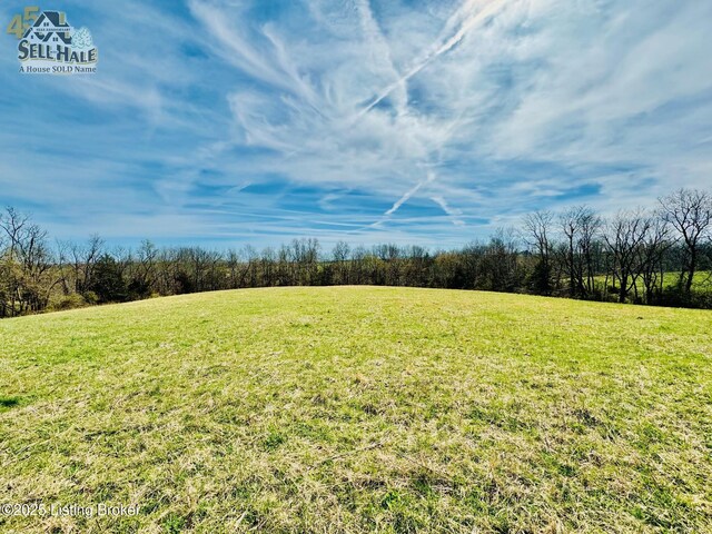 1000 Claybrooke Ln, Springfield, KY 40069 - photo 14