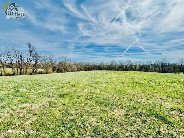 1000 Claybrooke Ln, Springfield, KY 40069 - photo 16
