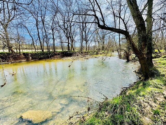 1000 Claybrooke Ln, Springfield, KY 40069 - photo 8
