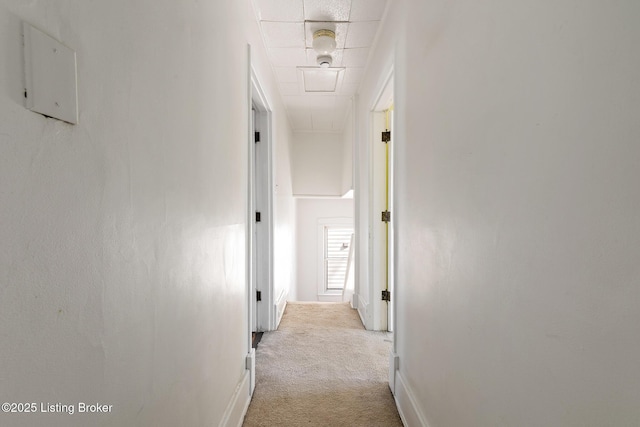 628 Harrison Ave, Louisville, KY 40217 - corridor with baseboards, attic access, and light colored carpet