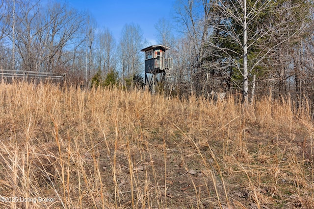 1147 Poplar Grove Rd, Buffalo, KY 42716 - view of nature