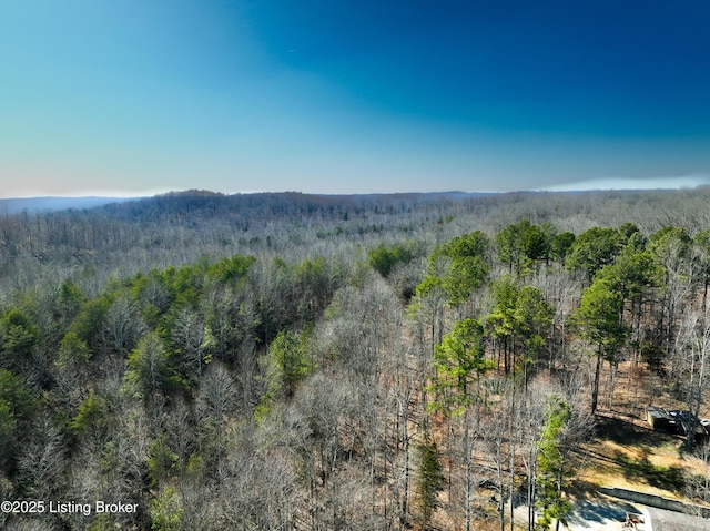 1147 Poplar Grove Rd, Buffalo, KY 42716 - property view of mountains featuring a forest view
