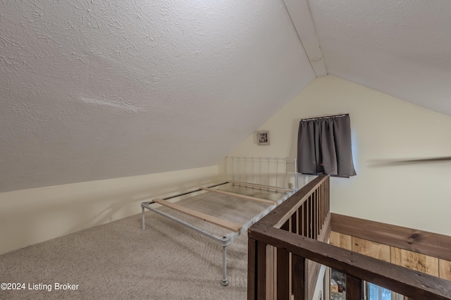 110 Nathan Rd, Falls Of Rough, KY 40119 - interior space featuring lofted ceiling and a textured ceiling