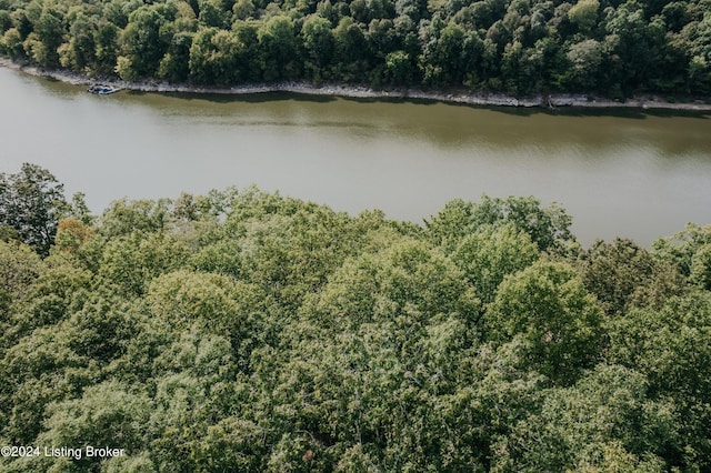 110 Nathan Rd, Falls Of Rough, KY 40119 - birds eye view of property featuring a water view and a forest view