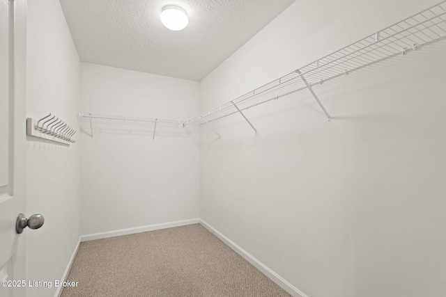 135C Michelle Dr, Shepherdsville, KY 40165 - walk in closet featuring carpet