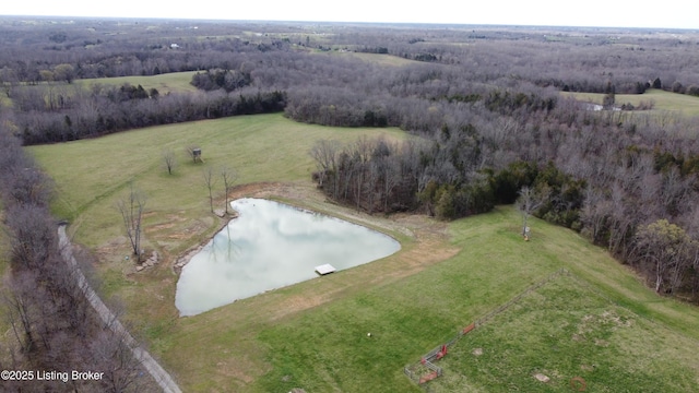 6436 Hempridge Rd, Shelbyville, KY 40065 - photo 32