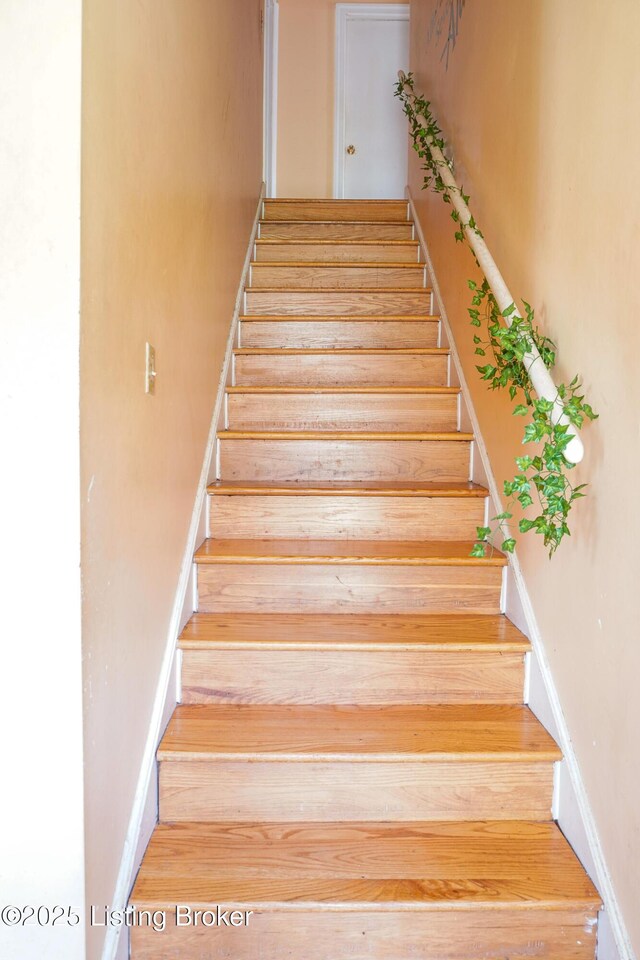 221 Blackburn Ave, Louisville, KY 40206 - photo 20
