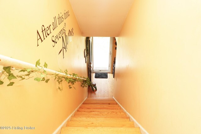 221 Blackburn Ave, Louisville, KY 40206 - photo 21