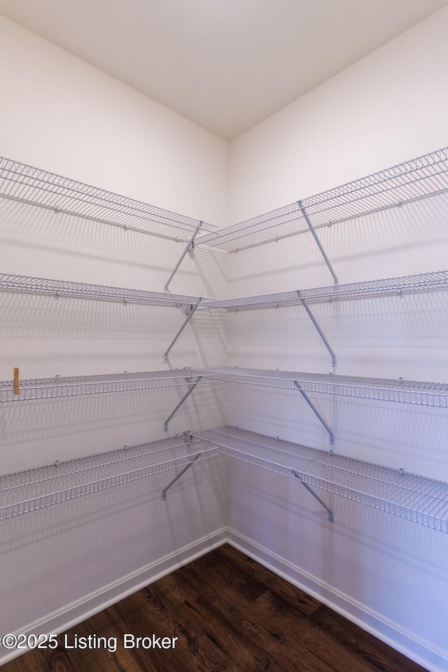 243 Zelcova Dr, Eminence, KY 40019 - view of pantry
