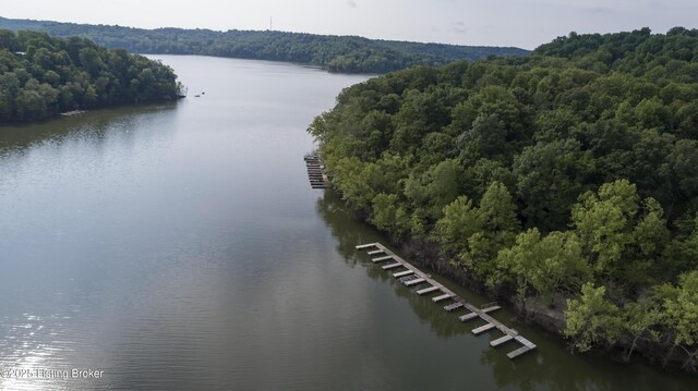 160 Oakland Hills Cir, Leitchfield, KY 42754 - bird's eye view of a large body of water and a forest