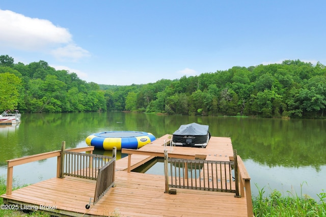 1468 Lakeshore Pkwy, Brandenburg, KY 40108 - dock area with a water view and a view of trees