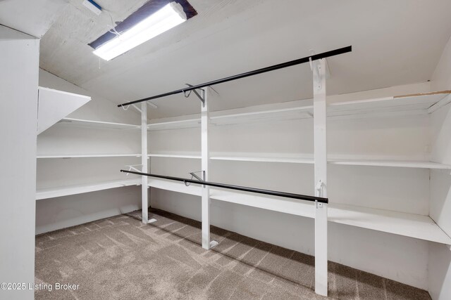 1468 Lakeshore Pkwy, Brandenburg, KY 40108 - view of storage room
