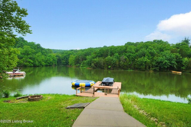 1468 Lakeshore Pkwy, Brandenburg, KY 40108 - dock area with a fire pit, a water view, and a view of trees