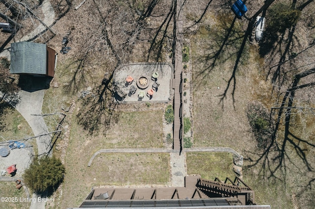bird's eye view