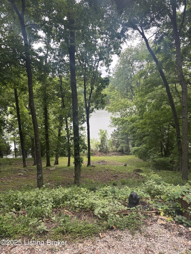 1009 Wilderness Rd, Mammoth Cave, KY 42259 - view of undeveloped land